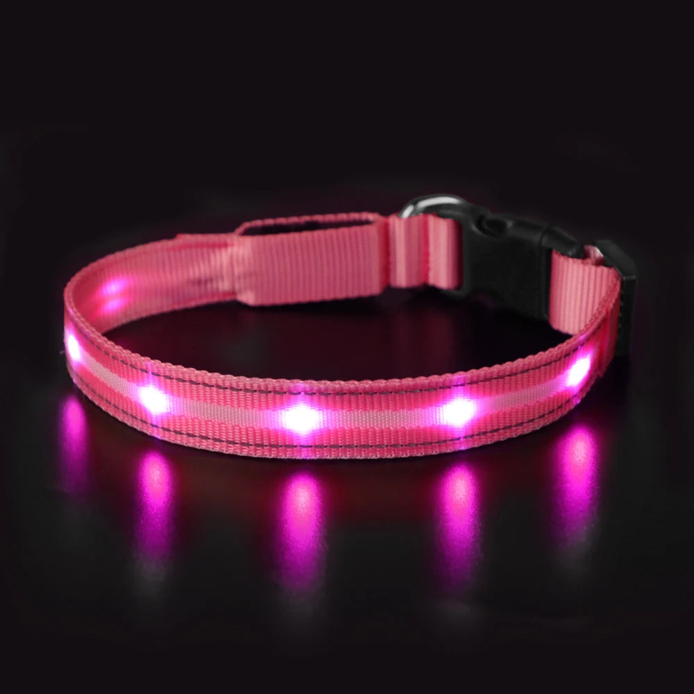 Light Up Waterproof USB Rechargeable Glowing Adjustable Night Safety Dog Collar