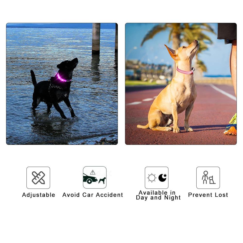 Light Up Waterproof USB Rechargeable Glowing Adjustable Night Safety Dog Collar