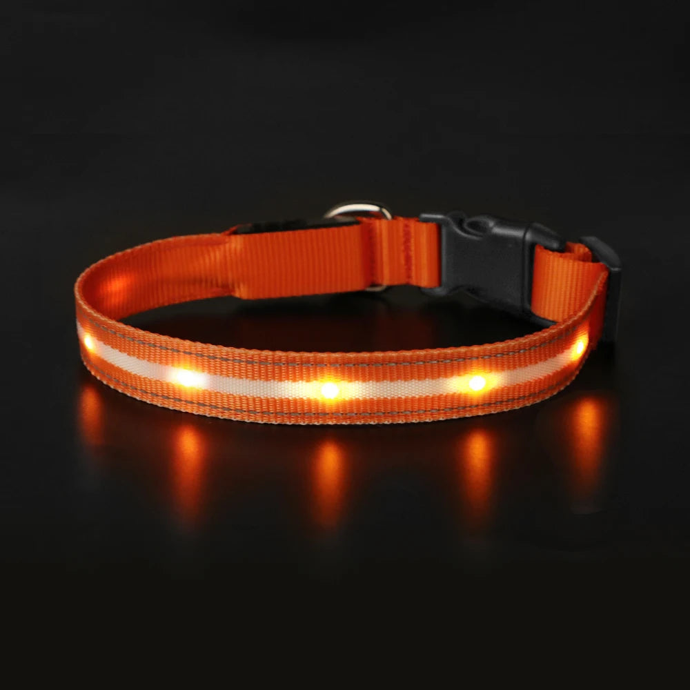 Light Up Waterproof USB Rechargeable Glowing Adjustable Night Safety Dog Collar