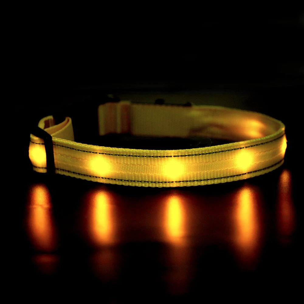 Light Up Waterproof USB Rechargeable Glowing Adjustable Night Safety Dog Collar