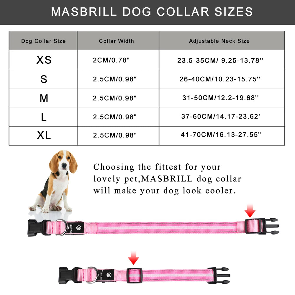 Light Up Waterproof USB Rechargeable Glowing Adjustable Night Safety Dog Collar