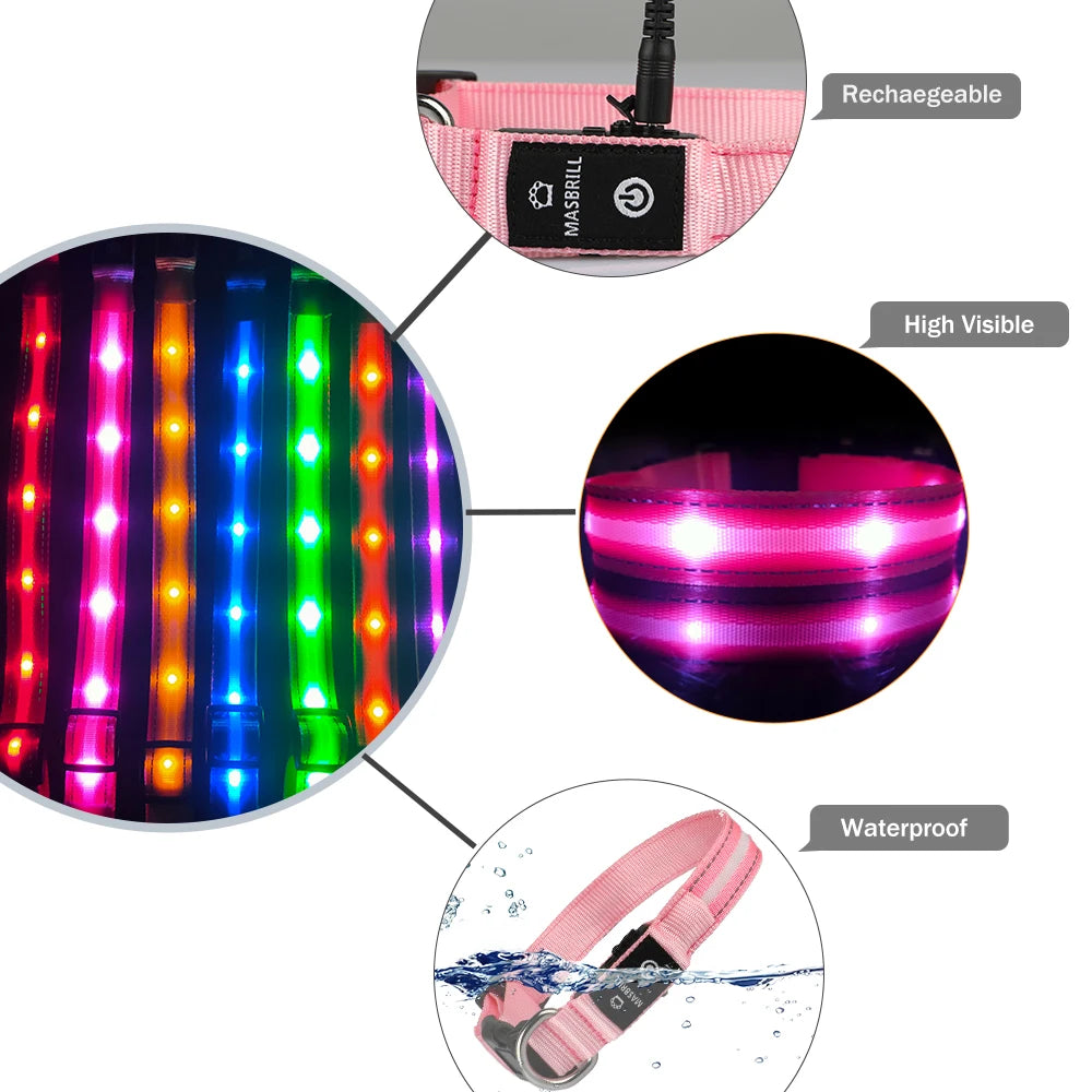 Light Up Waterproof USB Rechargeable Glowing Adjustable Night Safety Dog Collar