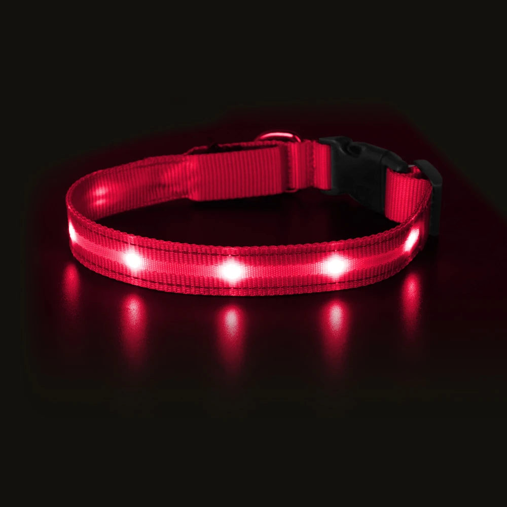 Light Up Waterproof USB Rechargeable Glowing Adjustable Night Safety Dog Collar