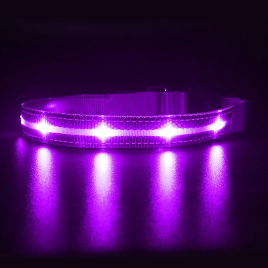 Light Up Waterproof USB Rechargeable Glowing Adjustable Night Safety Dog Collar