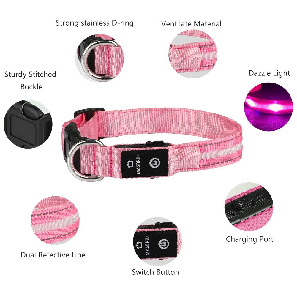 Light Up Waterproof USB Rechargeable Glowing Adjustable Night Safety Dog Collar
