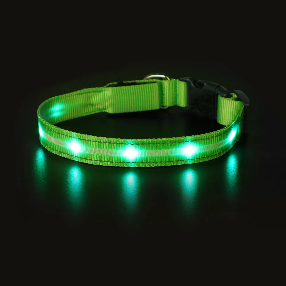 Light Up Waterproof USB Rechargeable Glowing Adjustable Night Safety Dog Collar