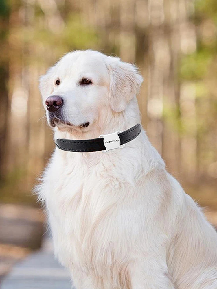 Mini Pet GPS Tracker Collar