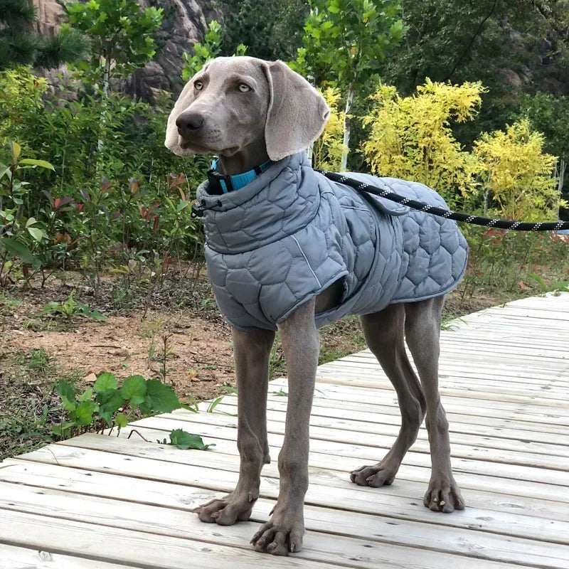 Thick Reflective Winter Jacket for Large Breed Dogs