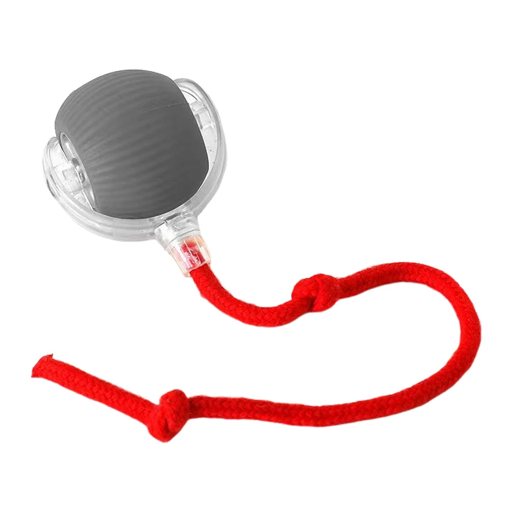 Interactive Rechargeable Self Rotating Ball