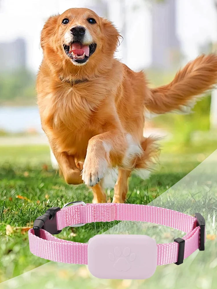 GPS Pet Tracker with Adjustable Collar
