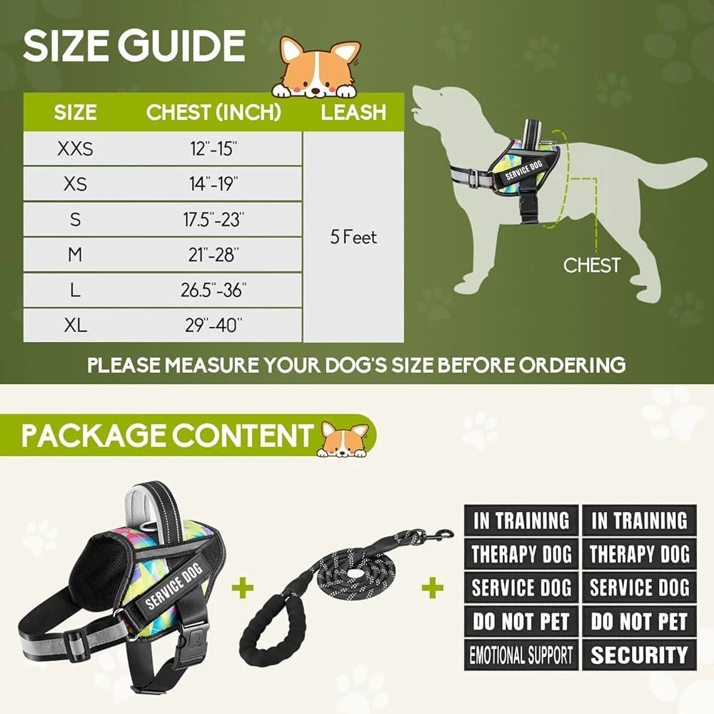 Service Dog Harness Leash Set