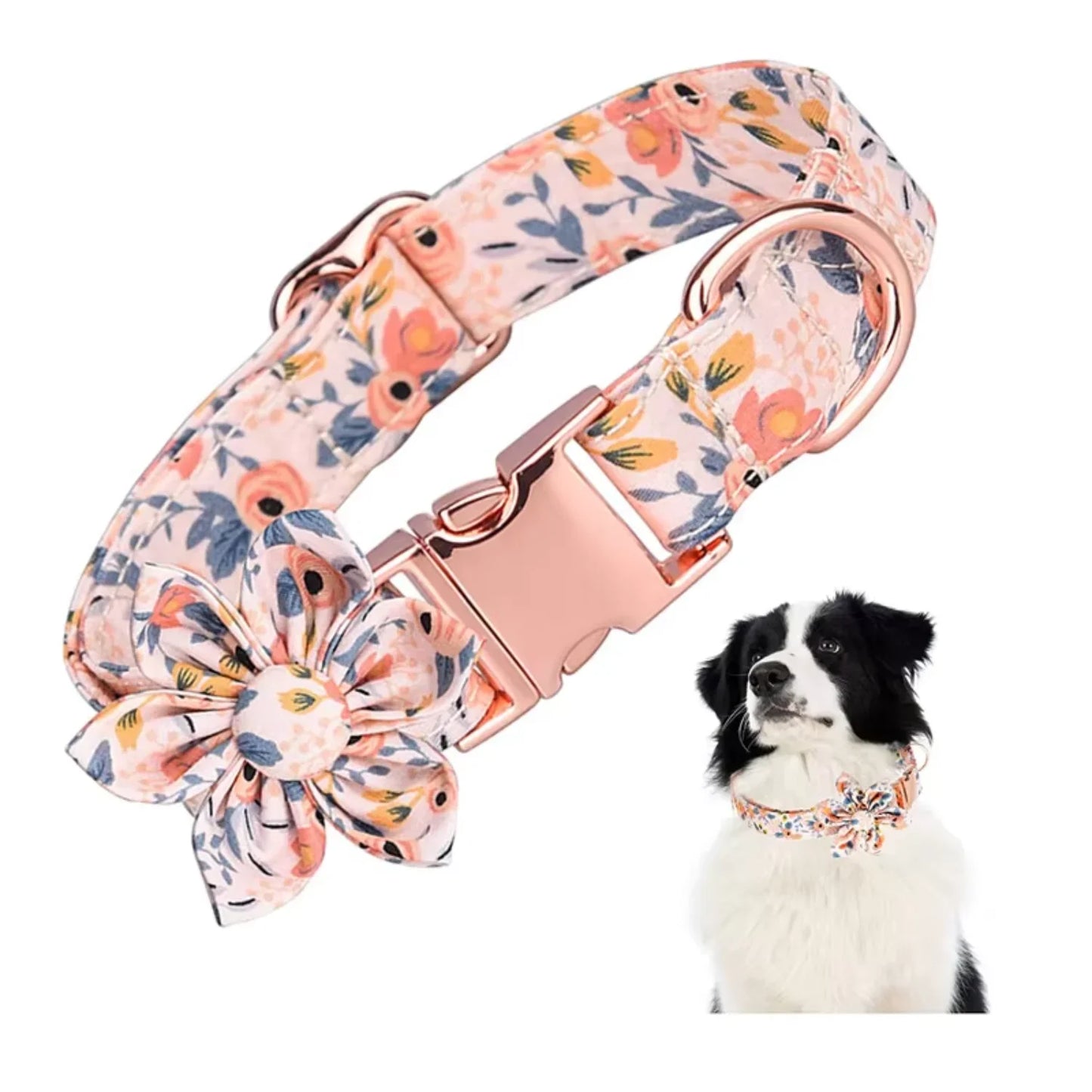 Large adjustable cat/ dog collar
