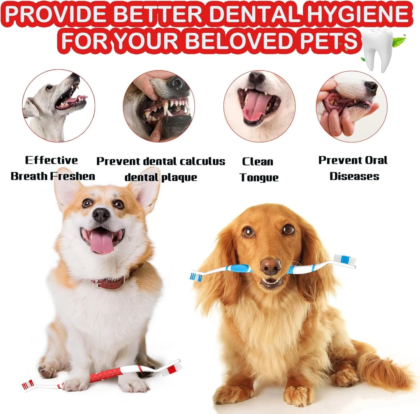 Non-Slip Dual Head Dog Toothbrush with Soft Bristles