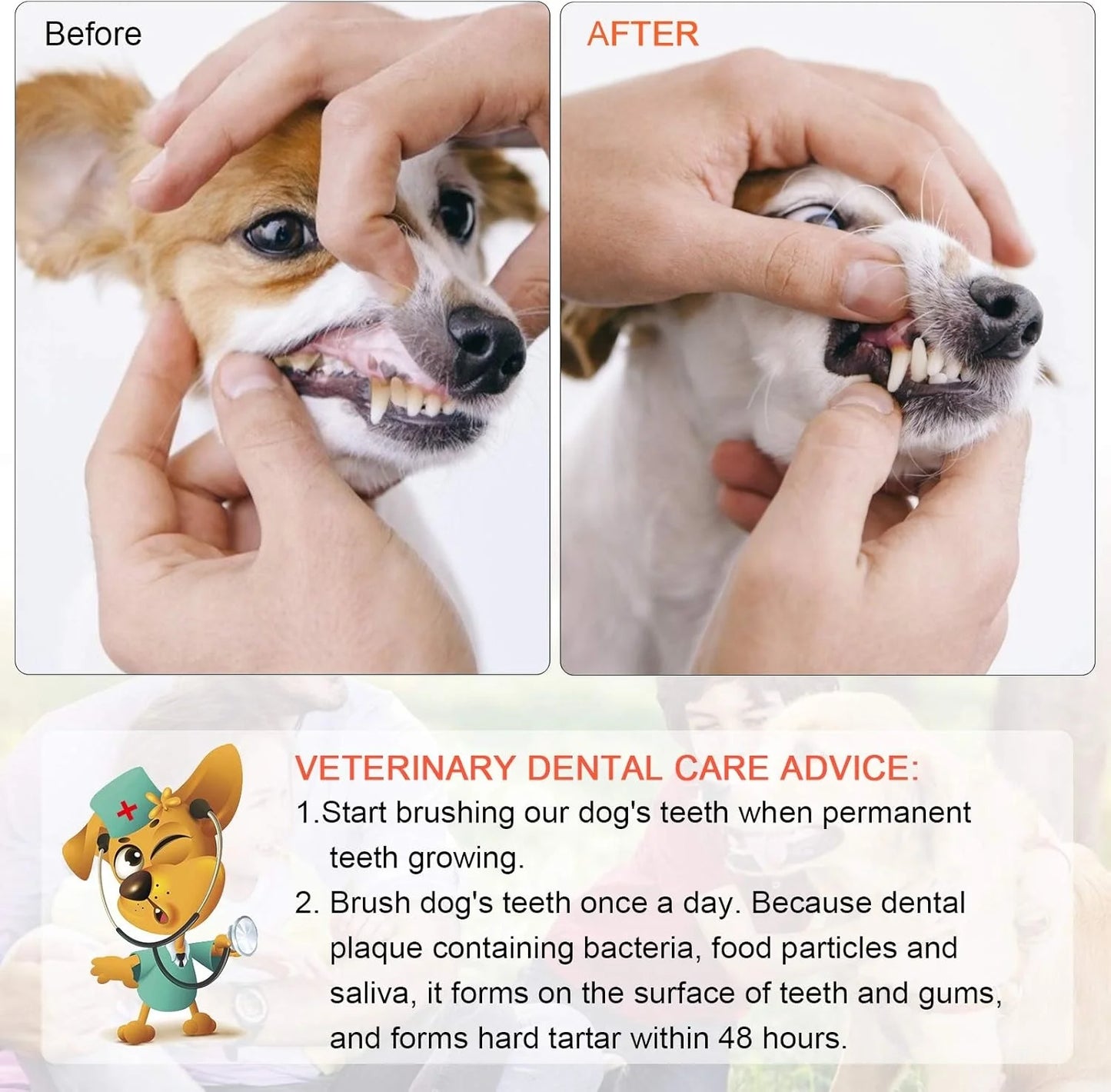 Double Headed Dog Toothbrush with Soft Bristles and Long Handle