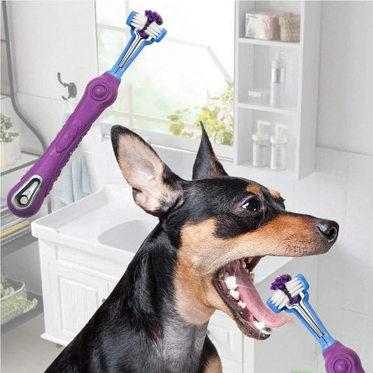 3-Sided Pet Toothbrush Removing Bad Breath and Tartar