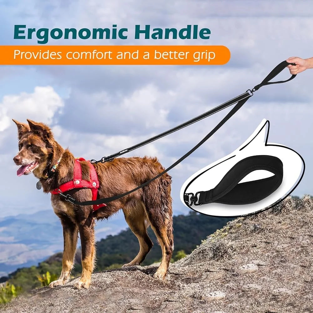 Reflective Two Point Control Dog Leash