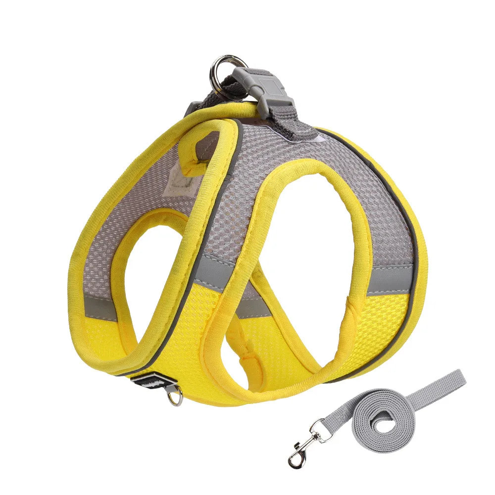 Adjustable Harness Leash Set for Small Dogs