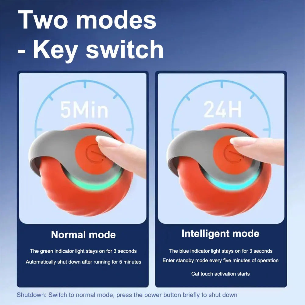 USB Rechargeable Interactive Cat Toy