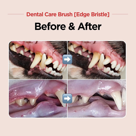 1 Piece Dog Toothbrush with Soft Bristles