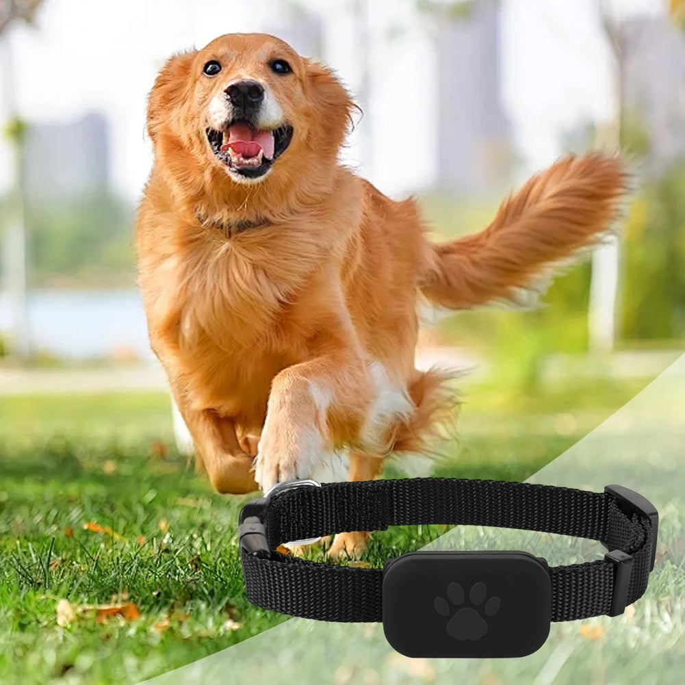 GPS Pet Tracker with Adjustable Collar