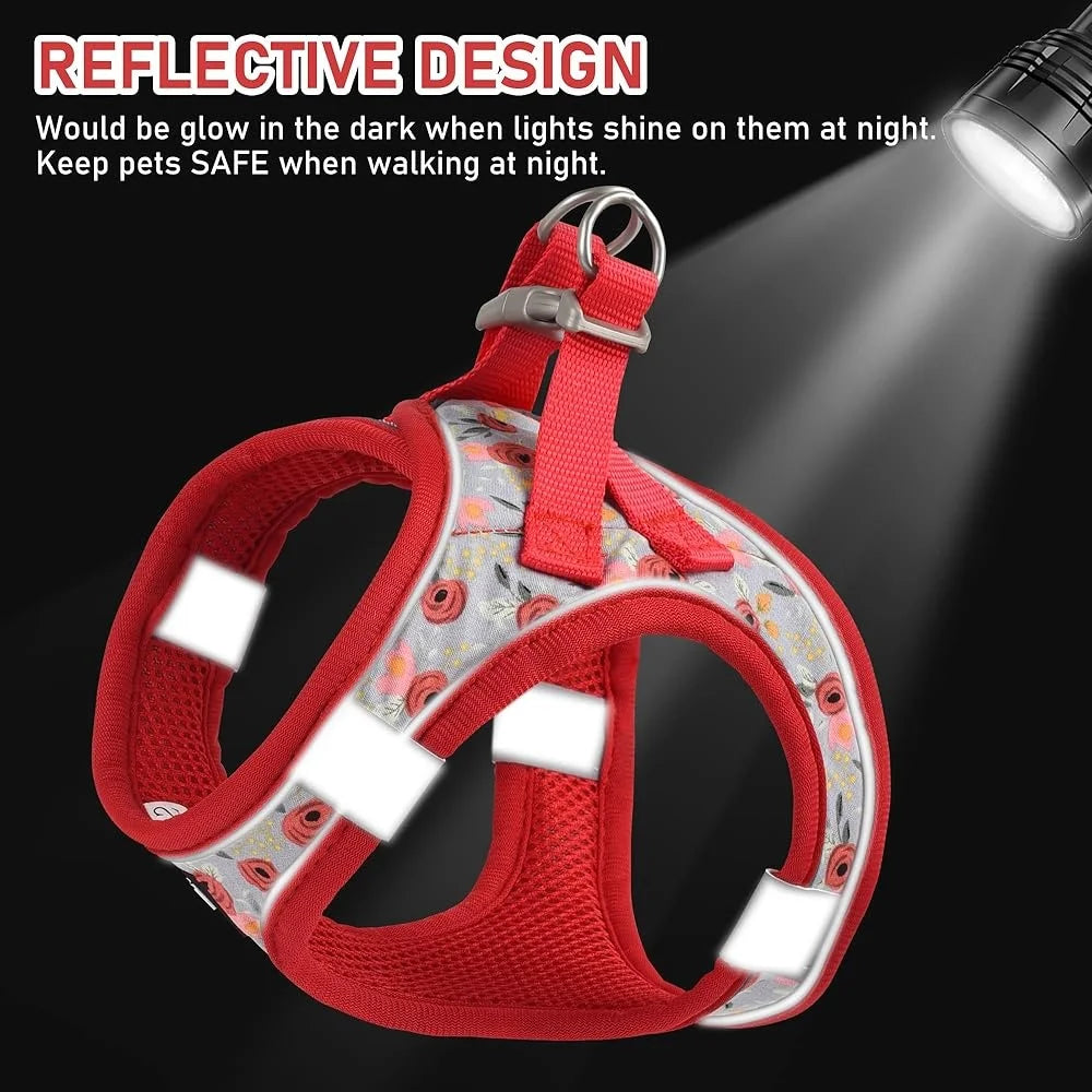Adjustable No Pull Small Dog Harness / Leash Set with Reflective