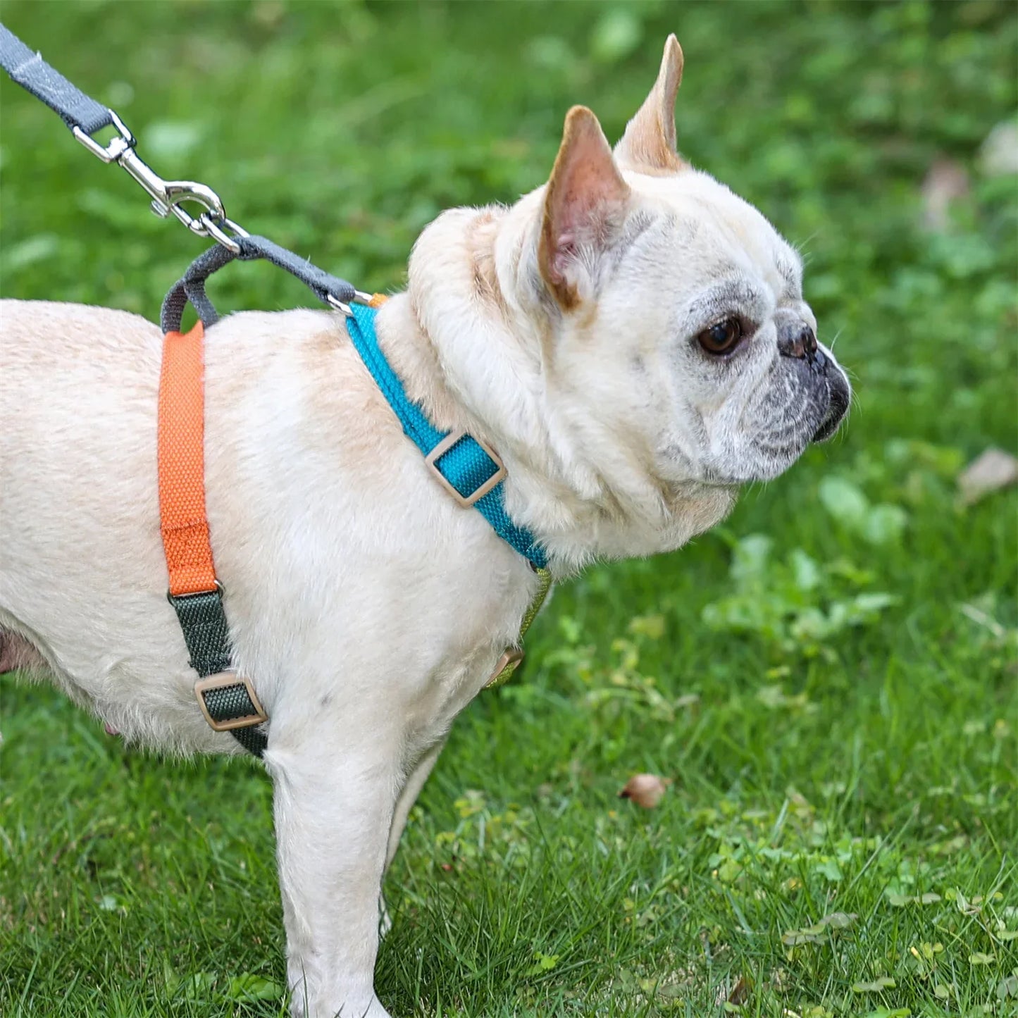 No Pull Adjustable Breathable Dog Harness for Easy Training