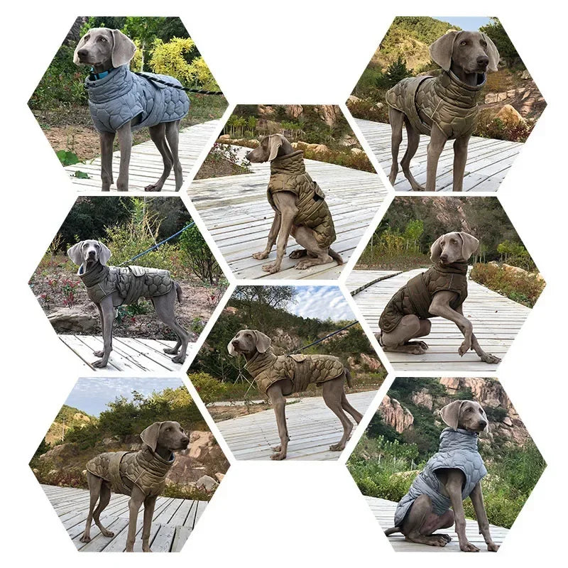 Thick Reflective Winter Jacket for Large Breed Dogs
