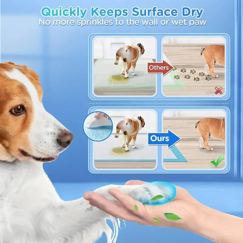 Dog Pee Pads with Leak-Proof Quick-Dry Design