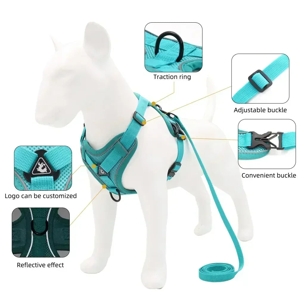 Adjustable No Pull Harness and Leash Set