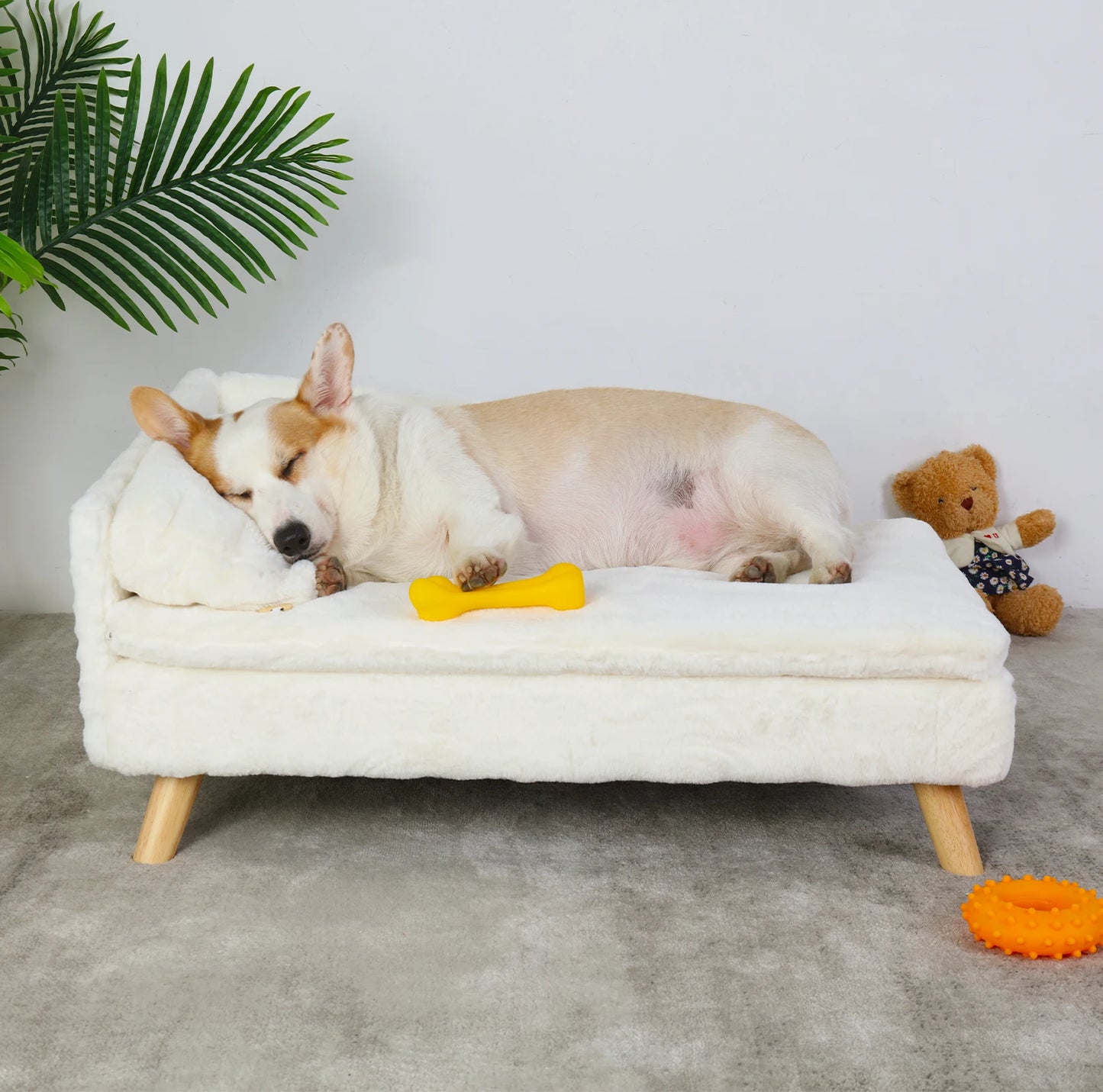 Elevated Pet Bed with Cozy Waterproof Pad, for Small Dog/ Kitten