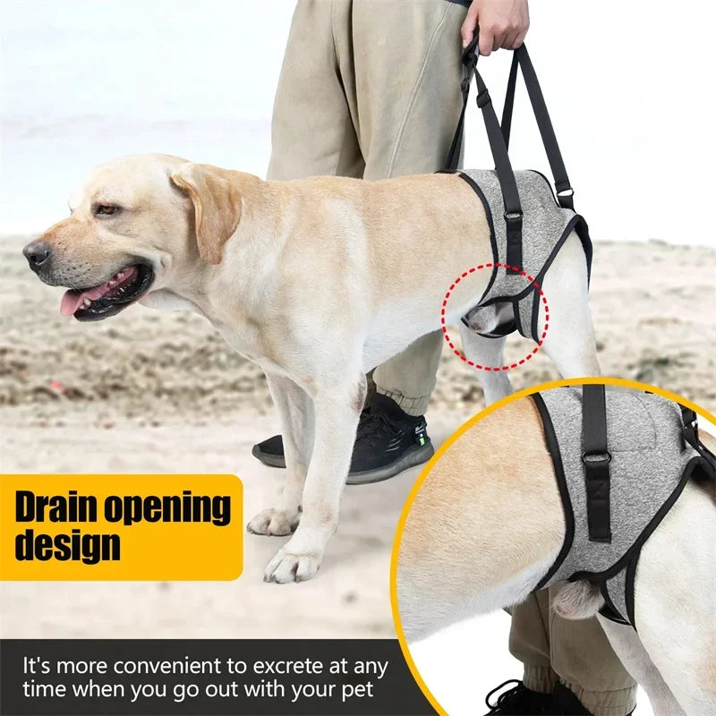 Adjustable Lift Harness for Large Dogs
