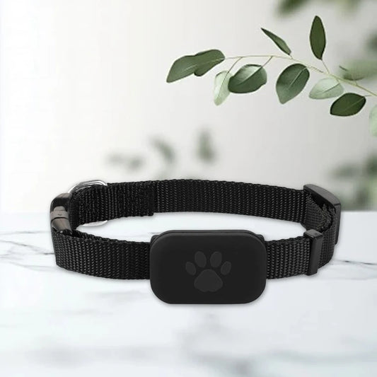 GPS Pet Tracker with Adjustable Collar