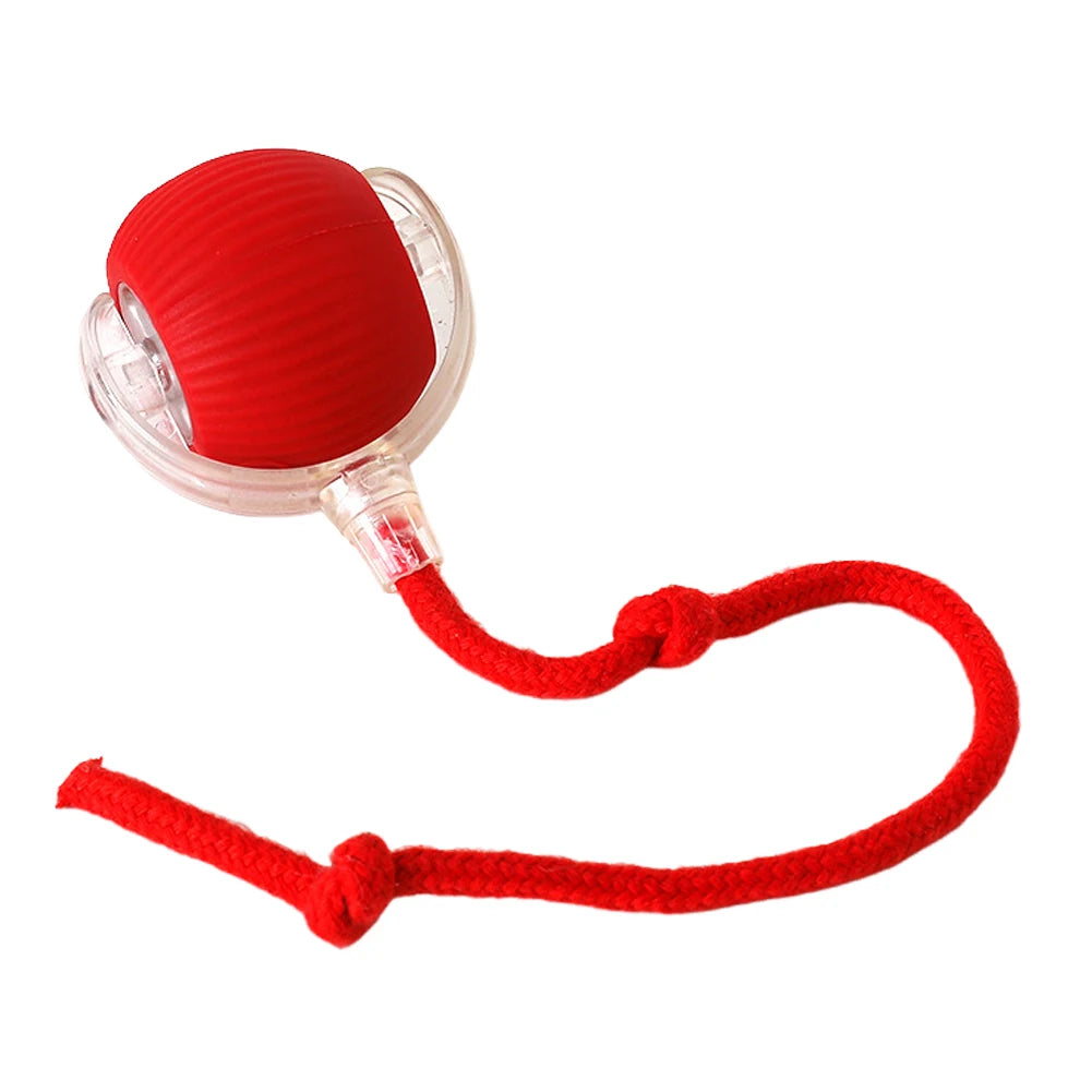 Interactive Rechargeable Self Rotating Ball