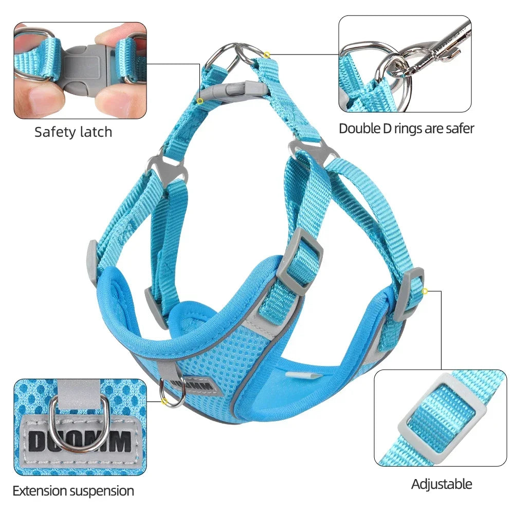 Harness Leash Set for Small Medium Dog