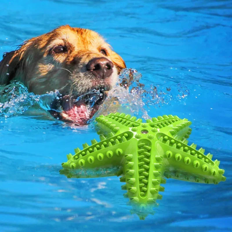 Interactive Rubber Chew Toy For Dog Oral Cleaning