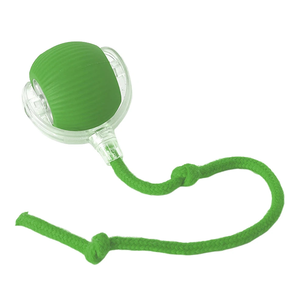 Interactive Rechargeable Self Rotating Ball