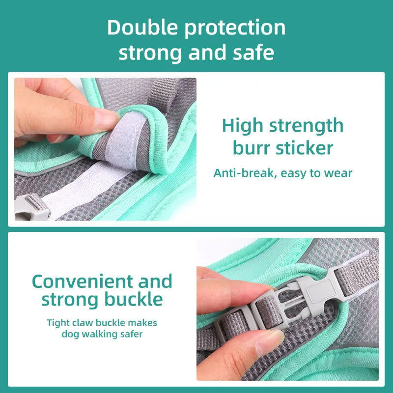 Adjustable Harness Leash Set for Small Dogs