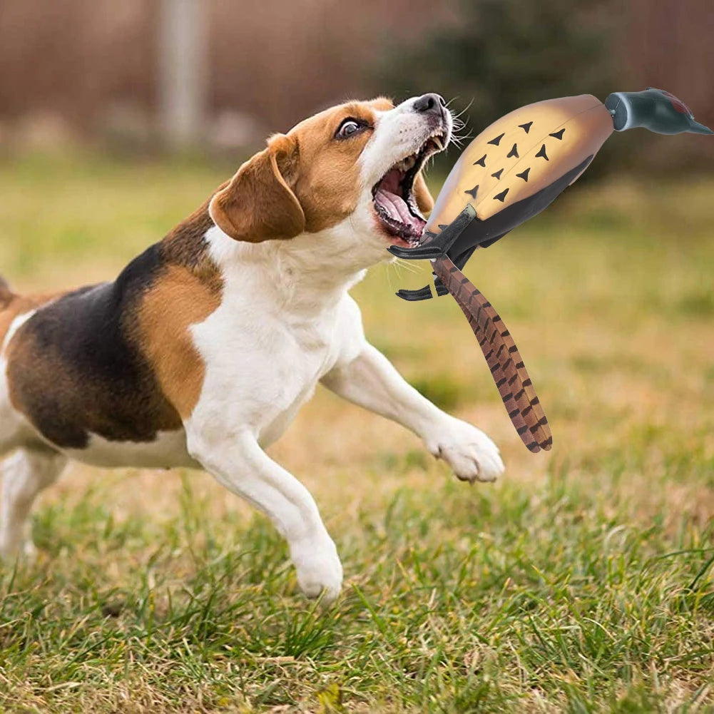 Multipurpose Fetch Toy For Training Dogs