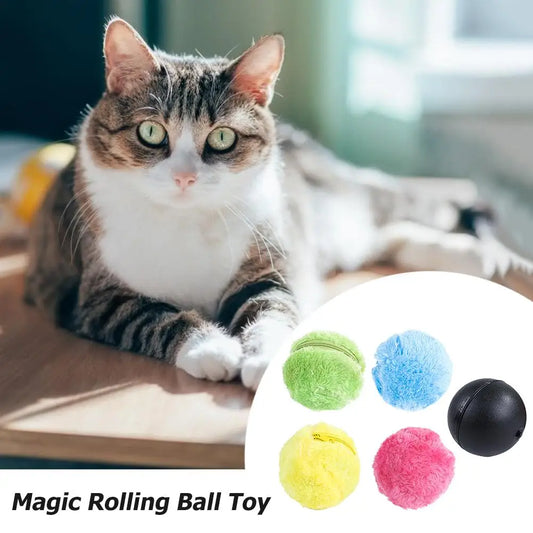 Automatic 5pcs Electric Balls Battery Powered for Dog/Cat