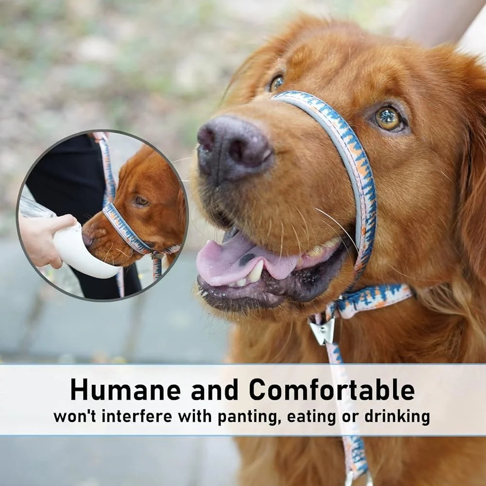 Anti-Pulling Harness with Leash