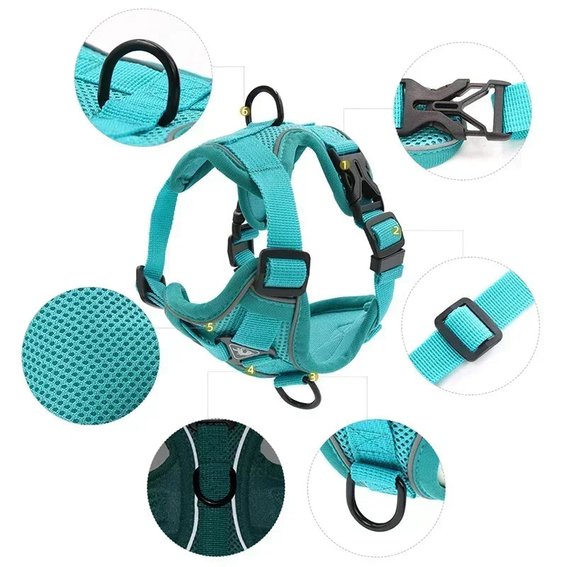 Adjustable No Pull Harness and Leash Set