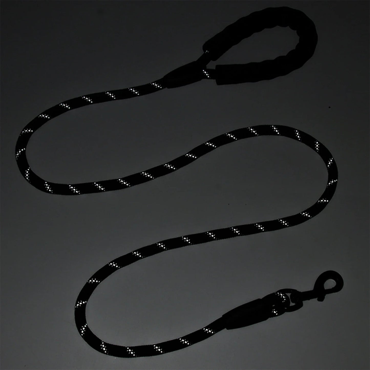 Nylon Reflective Dog Leash