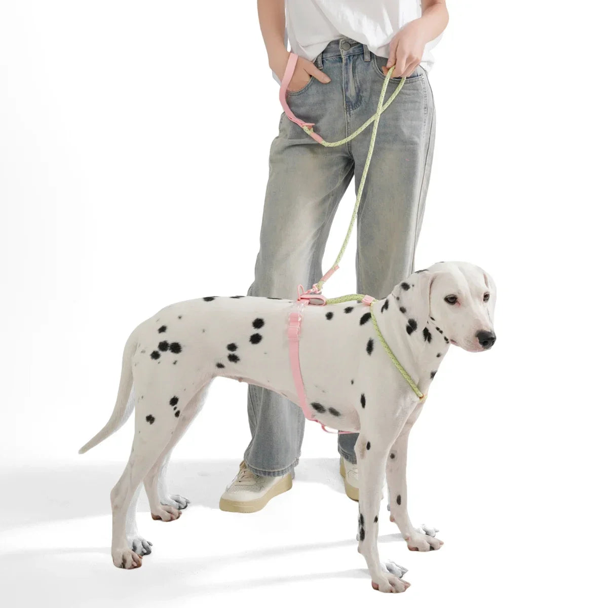 No Pull Safety Reflective Nylon Leash and Harness for Small And Medium Dogs