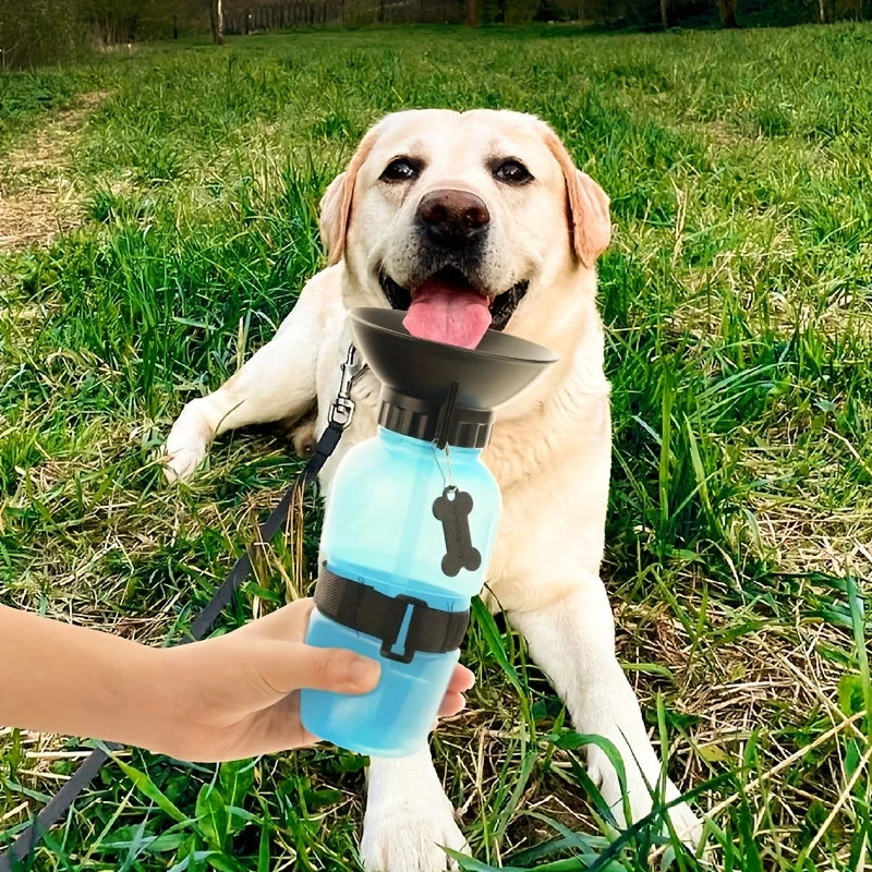 Portable Outdoor Travel Water Bottle