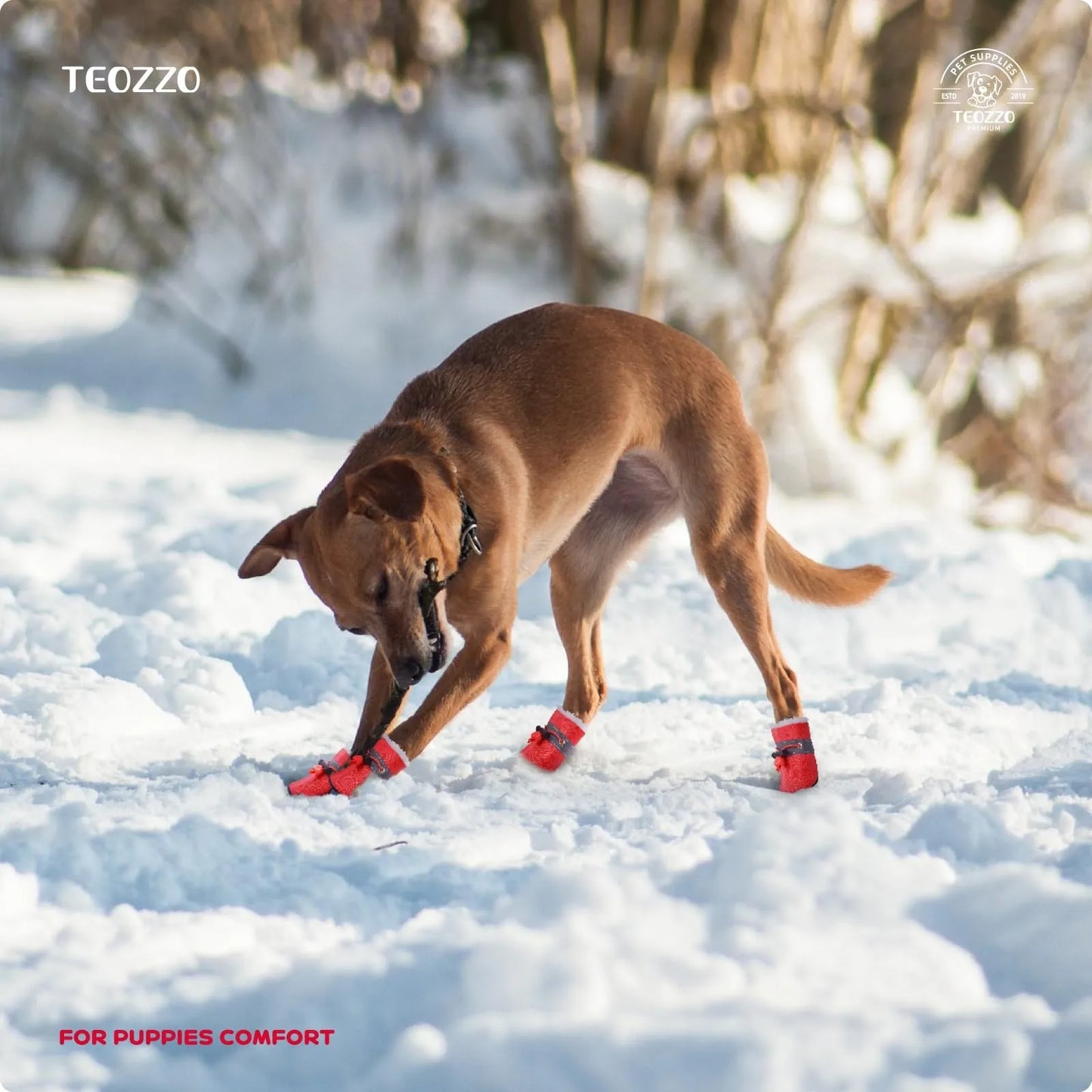 Adjustable Breathable Soft-Soled Non-Slip Walking Dog Shoes