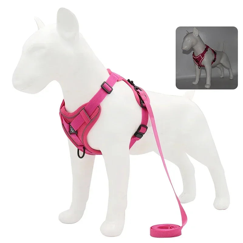 Adjustable No Pull Harness and Leash Set