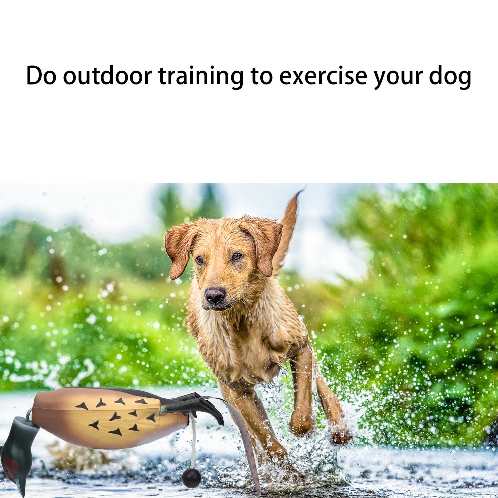Multipurpose Fetch Toy For Training Dogs