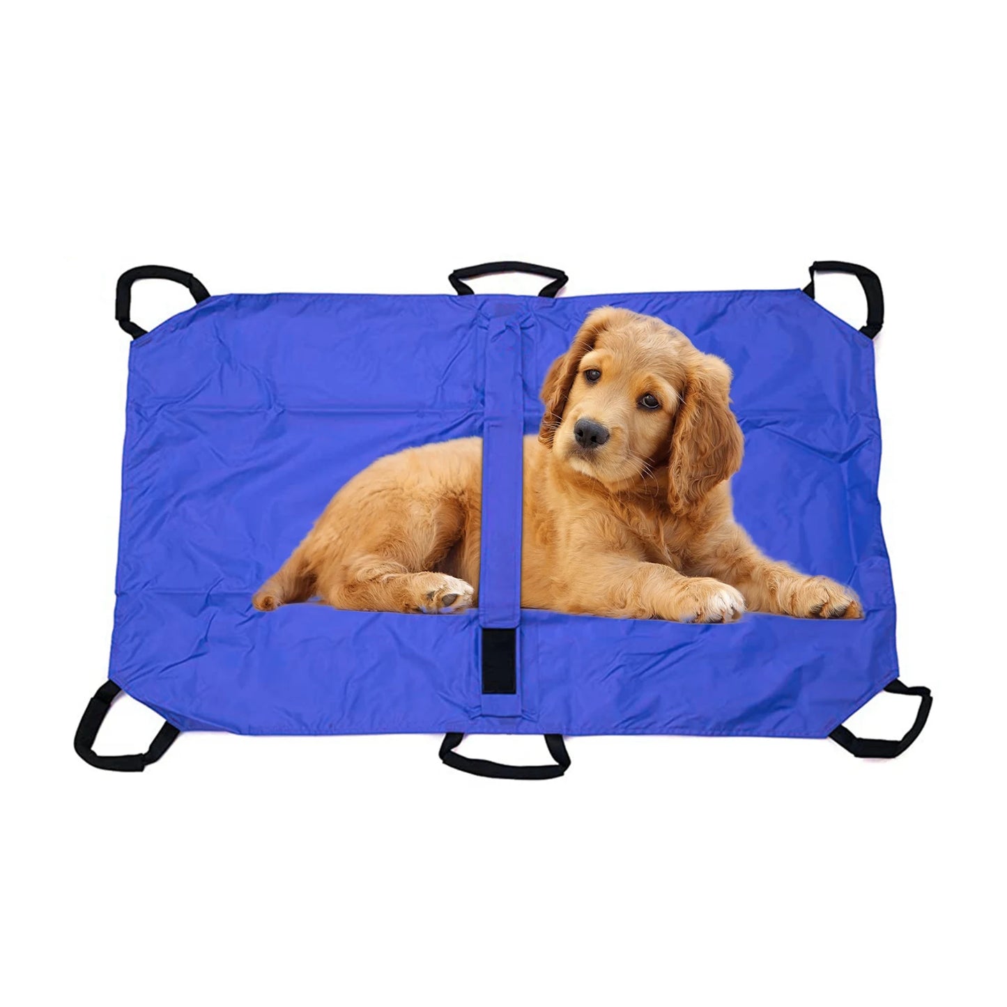Foldable Transport Stretcher