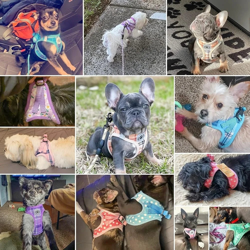 Floral Dog Harness and Leash Set