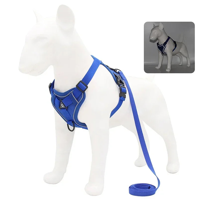 Adjustable No Pull Harness and Leash Set